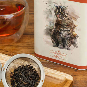 Exotic High Mountain Oolong Tea - Tin Caddy -Danta Herbs Tea