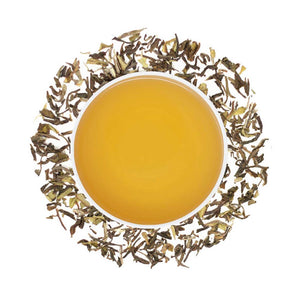 Glenburn Special Darjeeling Spring Black Tea -  Danta Herbs Tea, Loose Tea