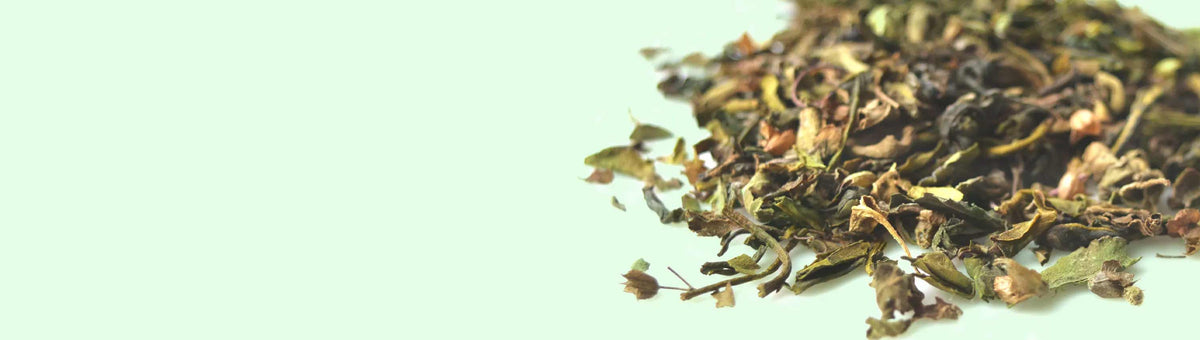 Buy Tulsi Tea Online | Starts From ₹249 | Danta Herbs
