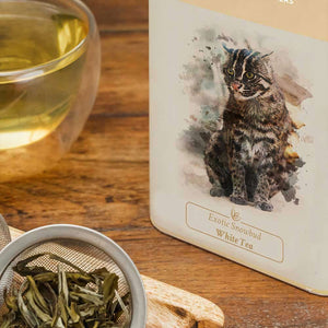 Exotic Snowbud White Tea -  Danta Herbs  Tea Tin Caddy