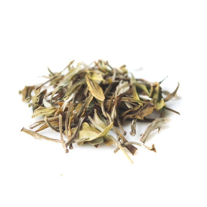 White Peony Organic Darjeeling White Tea - Loose Tea