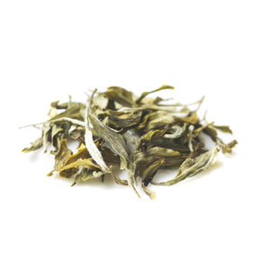 Blue Mountain Nilgiris White Tea - Loose Tea